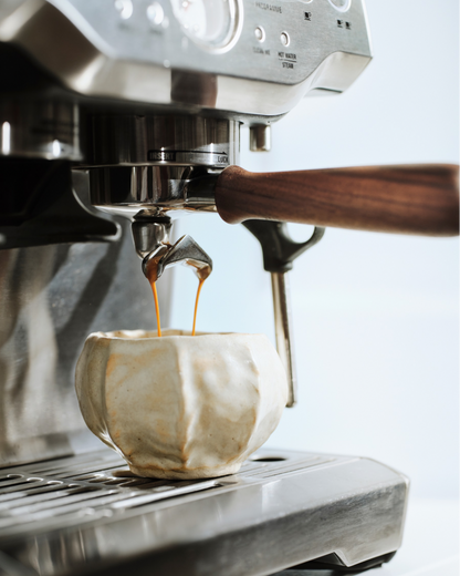 Sage The Barista - det komplette sæt! (Få The Bean med GRATIS)